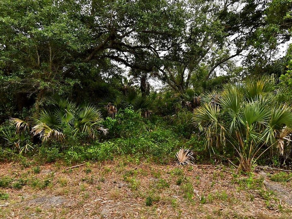 For Sale: $18,500 (0.24 acres)