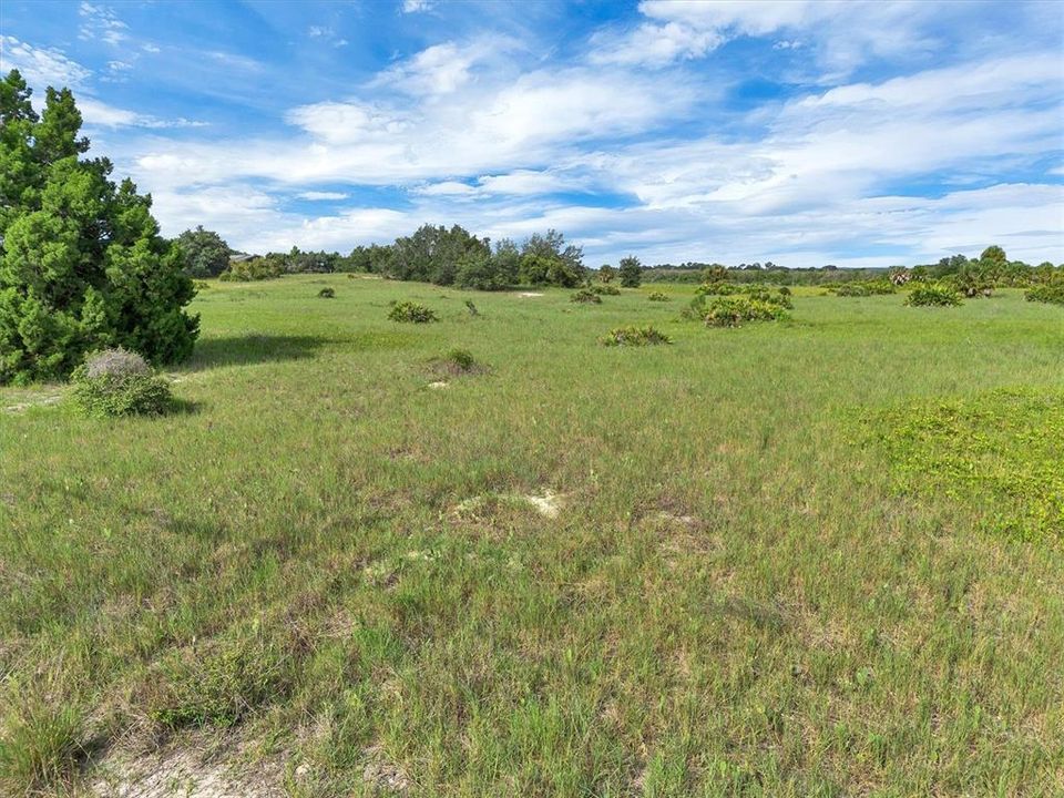 For Sale: $74,000 (3.60 acres)
