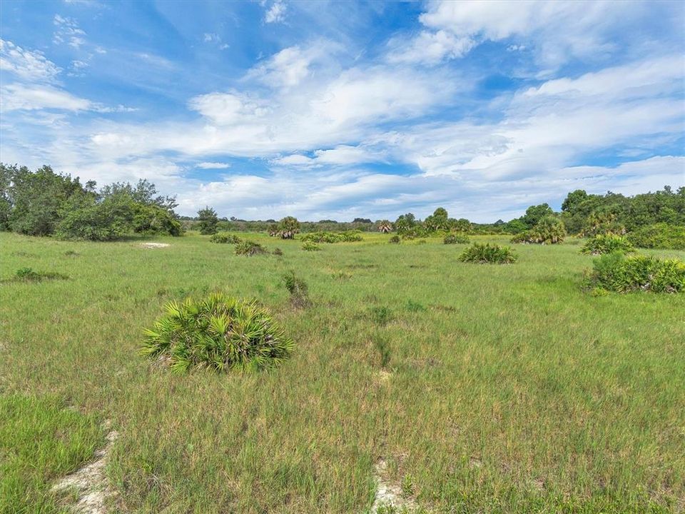 For Sale: $74,000 (3.60 acres)