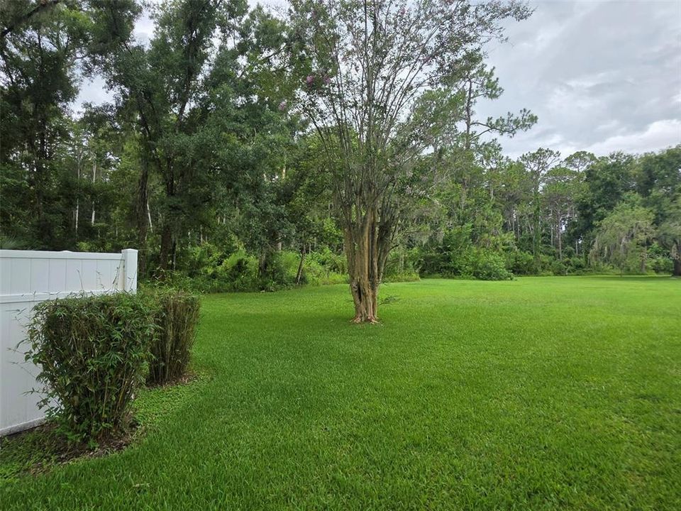 For Sale: $264,900 (3 beds, 3 baths, 1476 Square Feet)
