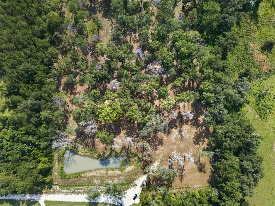 En Venta: $95,000 (3.16 acres)