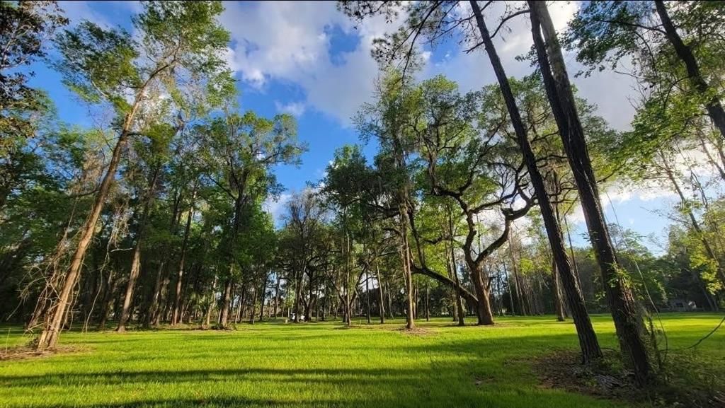 En Venta: $95,000 (3.16 acres)
