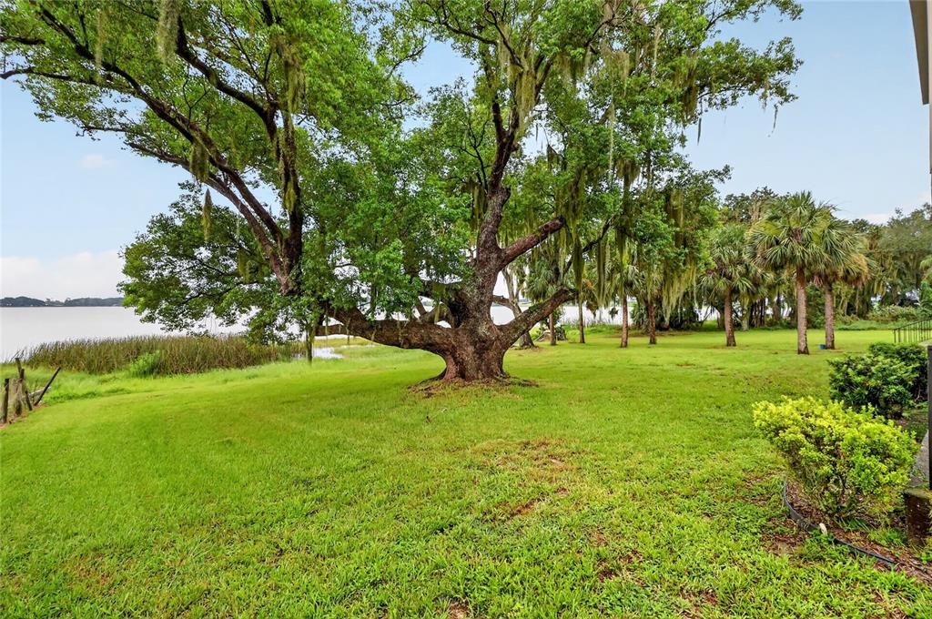 For Rent: $2,750 (3 beds, 3 baths, 2630 Square Feet)
