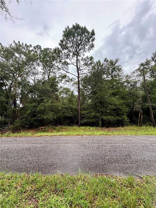 待售: $67,500 (1.13 acres)