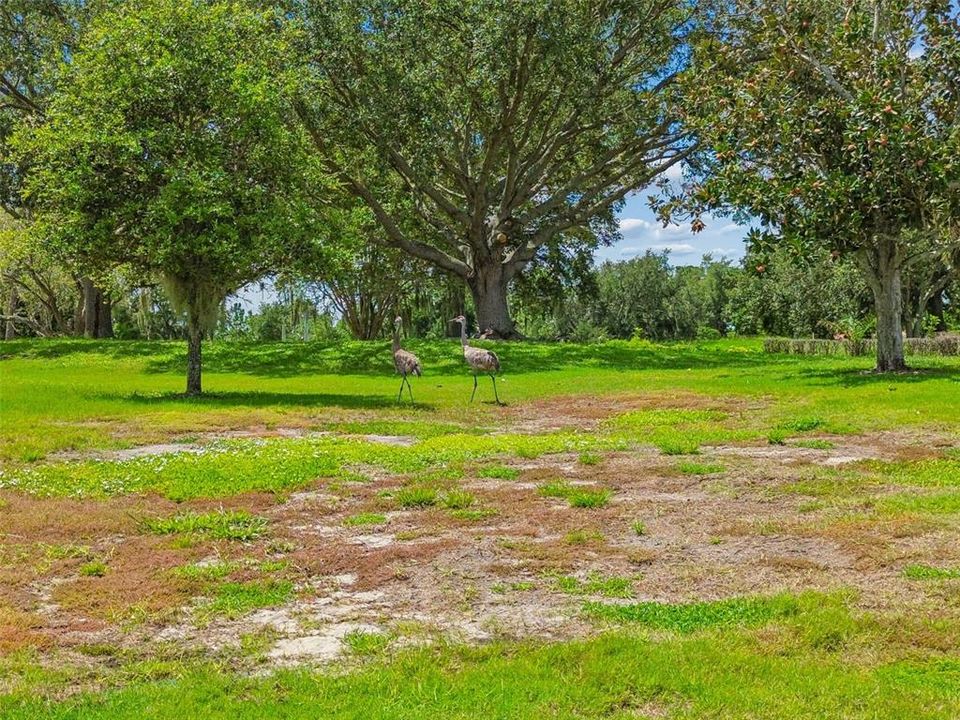 Activo con contrato: $229,900 (2 camas, 2 baños, 1516 Pies cuadrados)