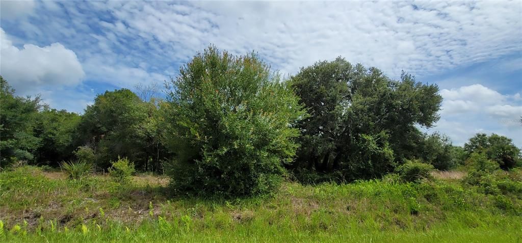 待售: $30,500 (1.25 acres)