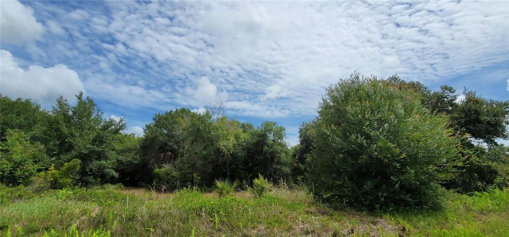 待售: $30,500 (1.25 acres)