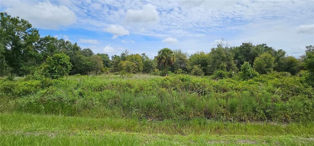 待售: $30,500 (1.25 acres)