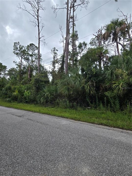 For Sale: $21,000 (0.23 acres)
