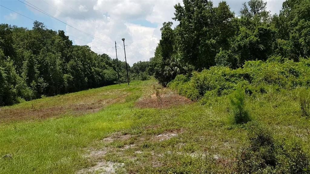 For Sale: $330,000 (19.20 acres)