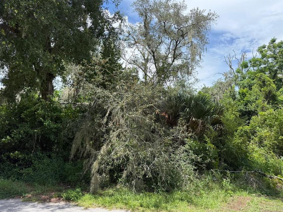 En Venta: $45,000 (0.51 acres)