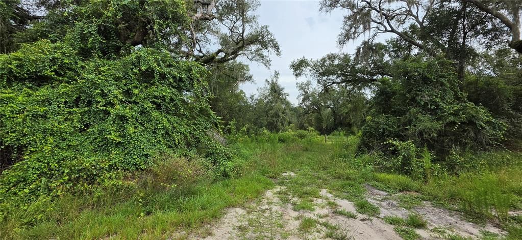For Sale: $65,000 (0.40 acres)