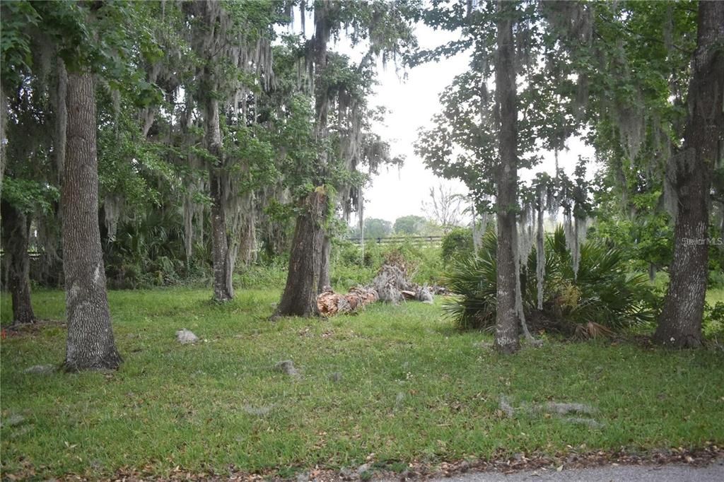For Sale: $30,000 (0.12 acres)