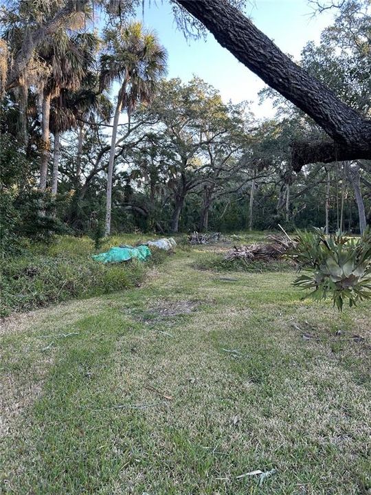 На продажу: $179,000 (1.65 acres)