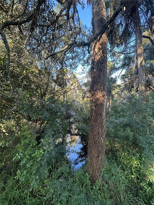 На продажу: $179,000 (1.65 acres)