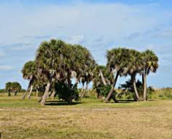 En Venta: $30,490 (1.25 acres)