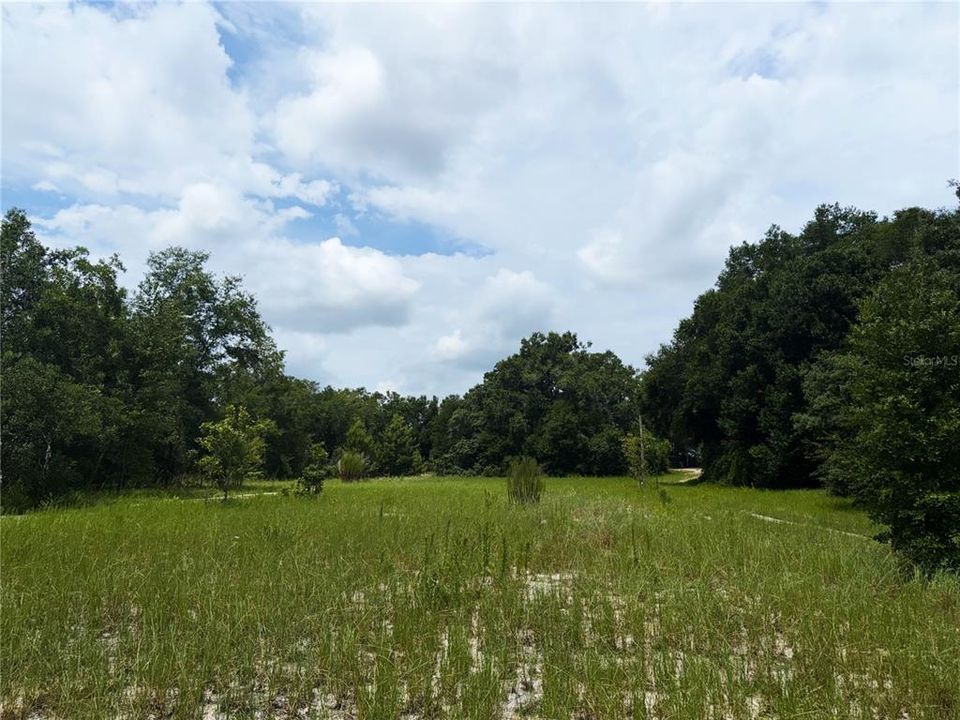 En Venta: $1,999,500 (9.45 acres)