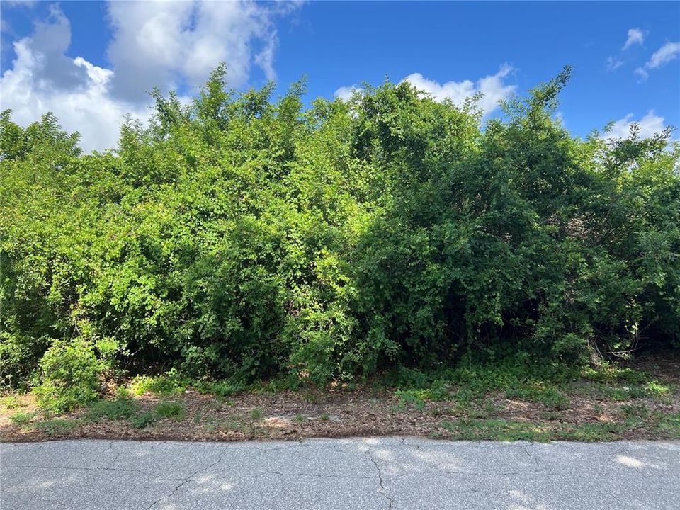 For Sale: $20,000 (0.23 acres)