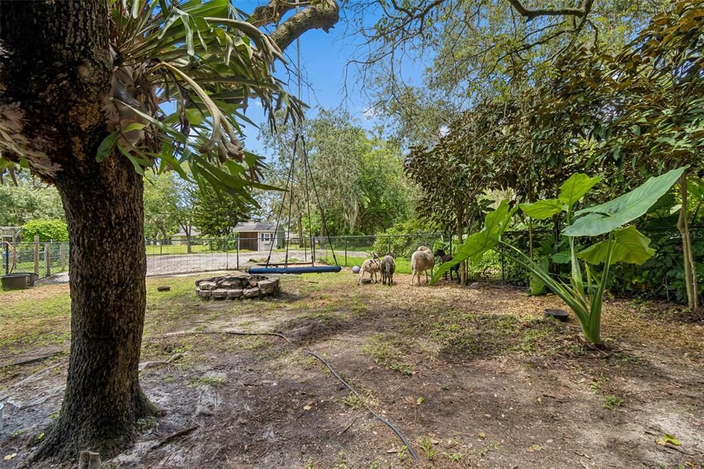 For Sale: $750,000 (3 beds, 3 baths, 2456 Square Feet)