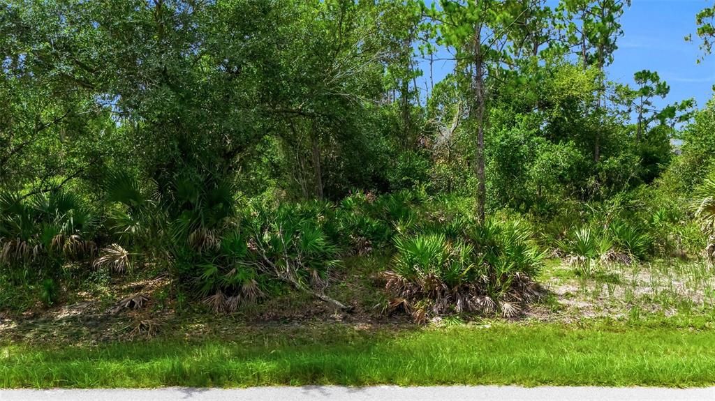 For Sale: $40,000 (0.23 acres)