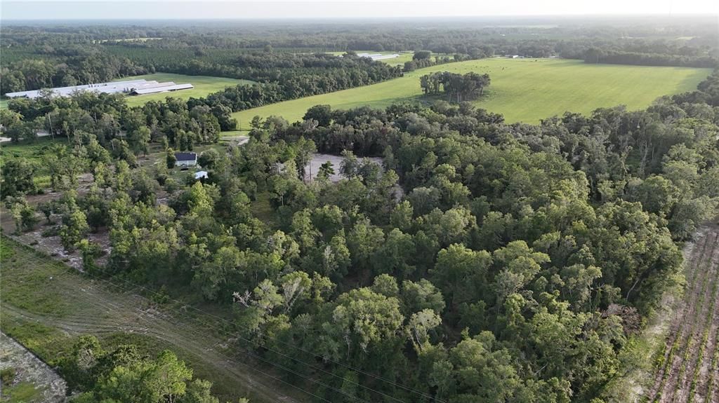 For Sale: $109,990 (5.00 acres)