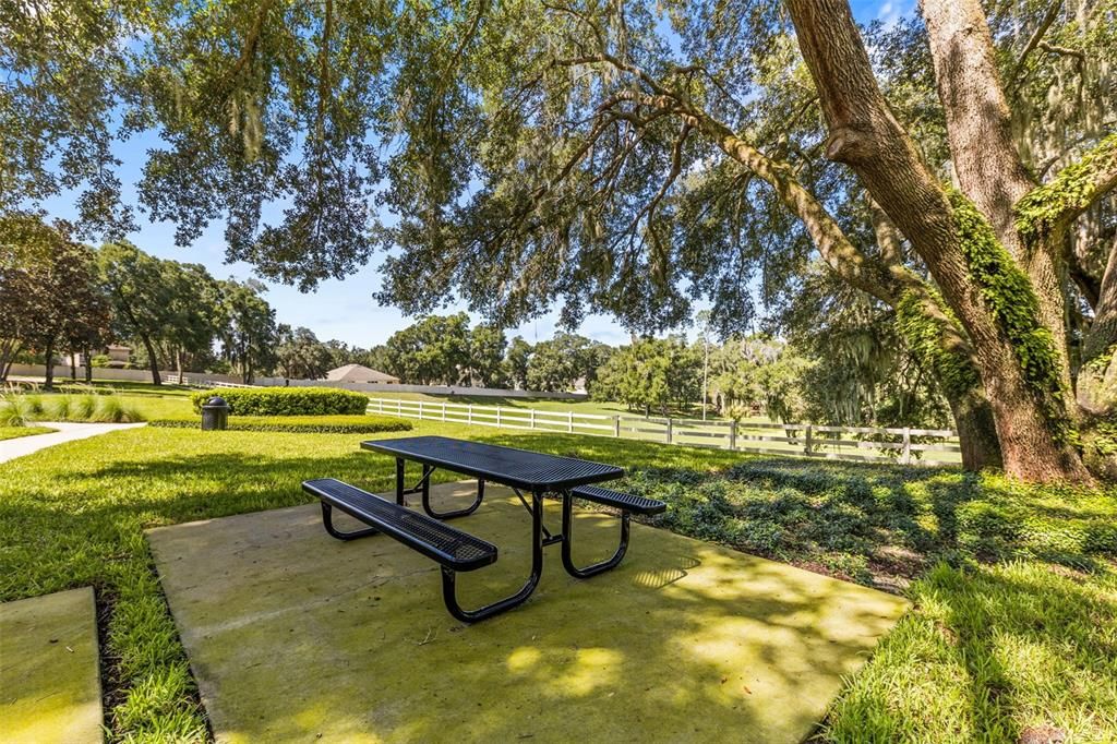 For Sale: $500,000 (4 beds, 3 baths, 2623 Square Feet)