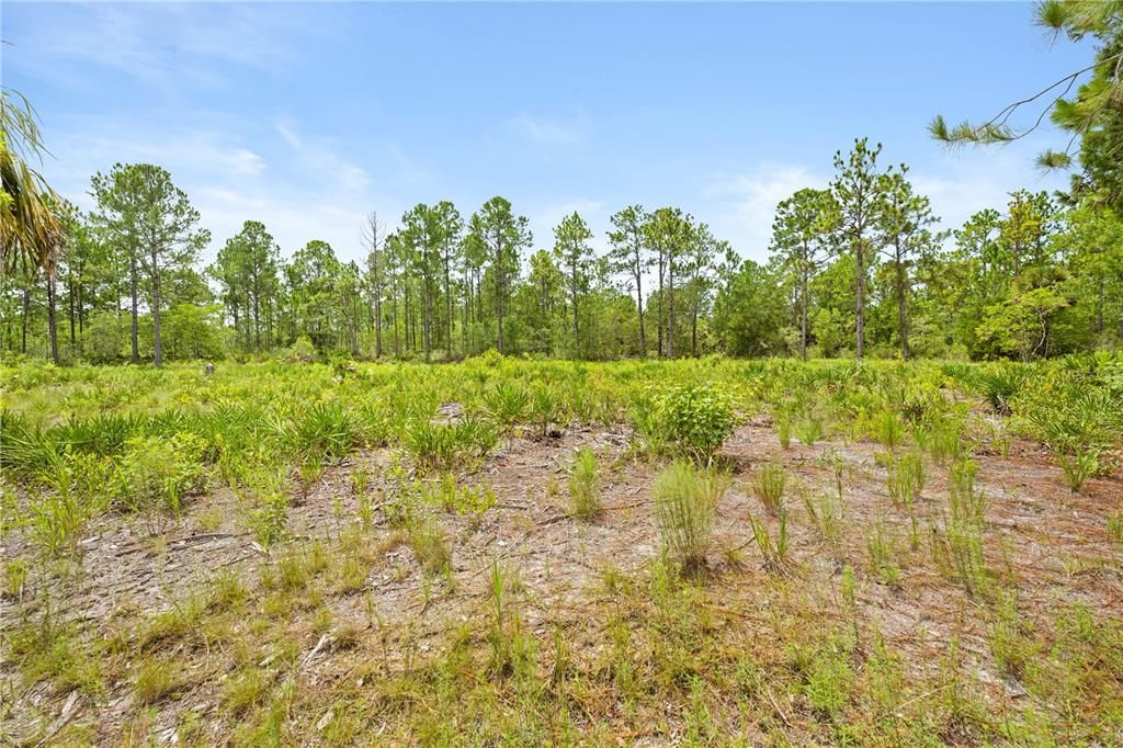 For Sale: $57,000 (1.15 acres)