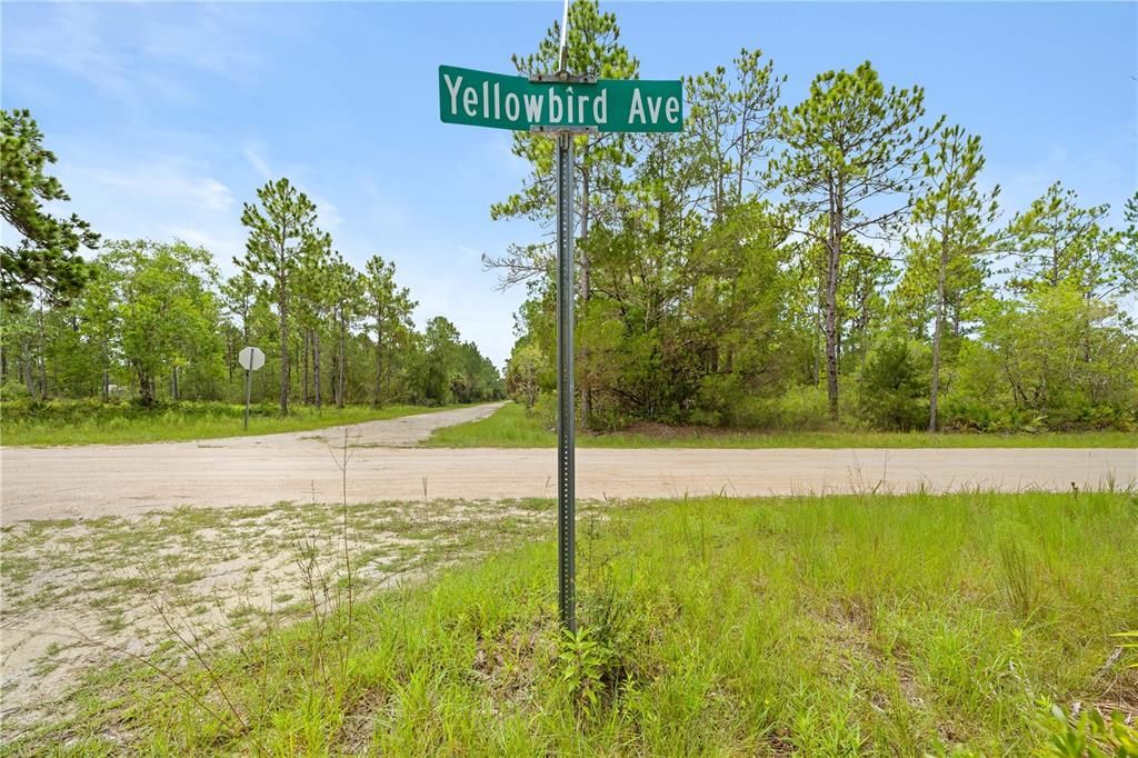 For Sale: $57,000 (1.15 acres)