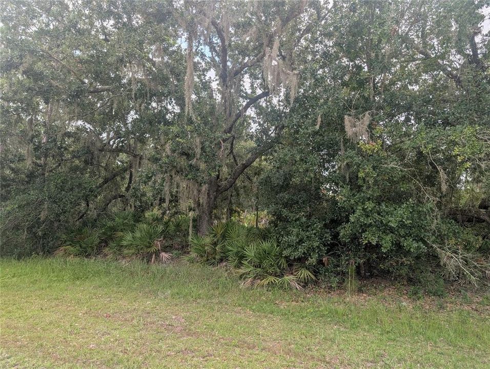 En Venta: $14,000 (0.50 acres)