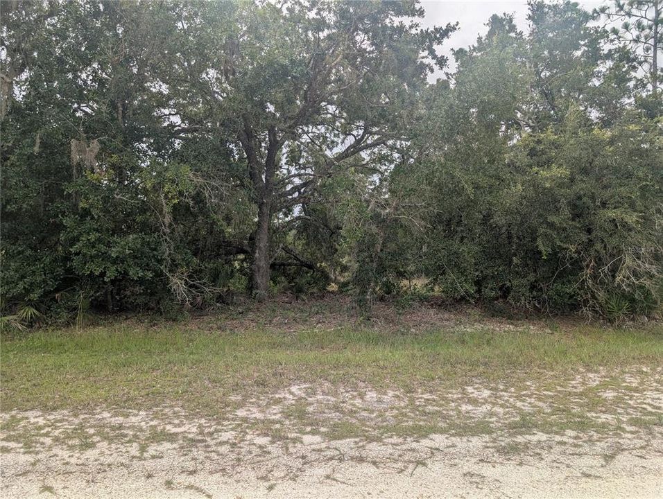 En Venta: $14,000 (0.50 acres)