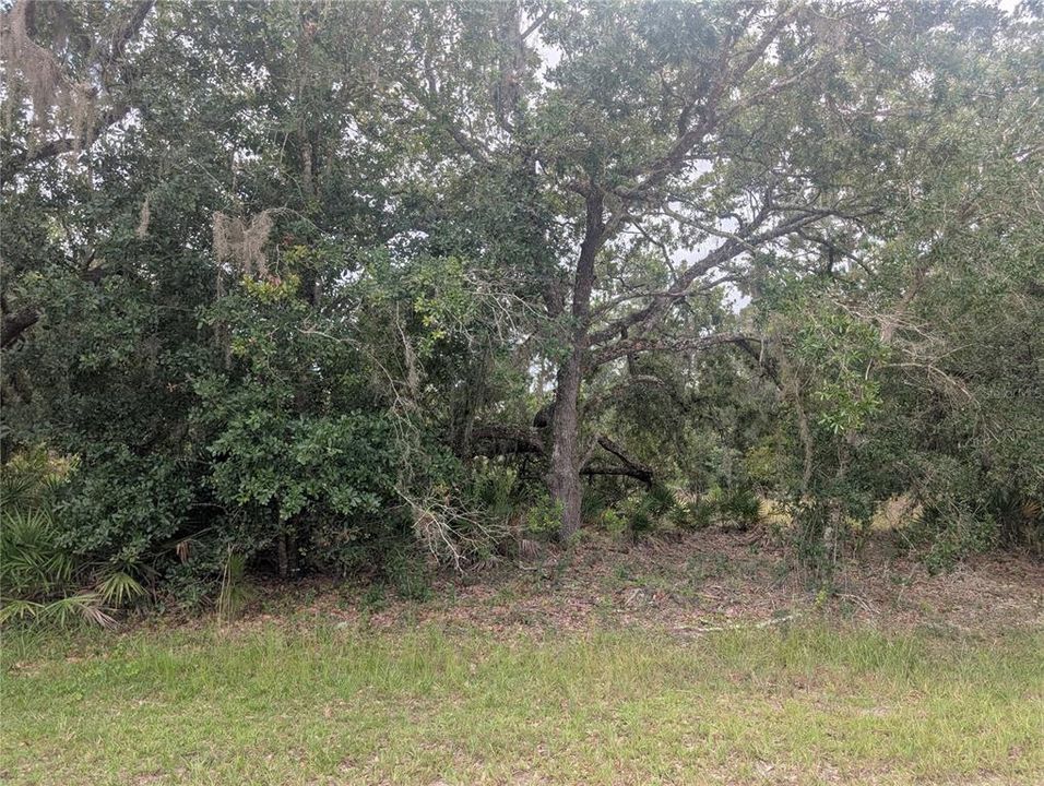 En Venta: $14,000 (0.50 acres)