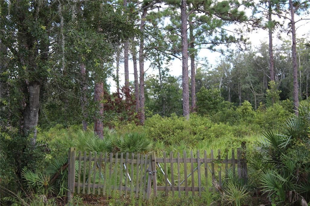 На продажу: $380,000 (1.78 acres)