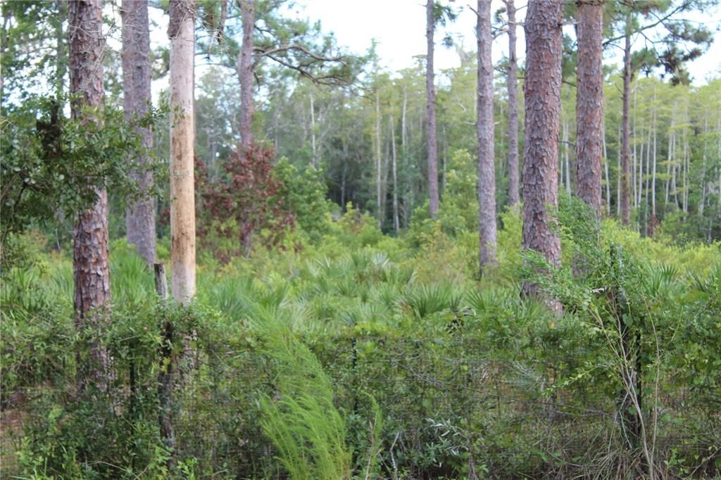 На продажу: $380,000 (1.78 acres)