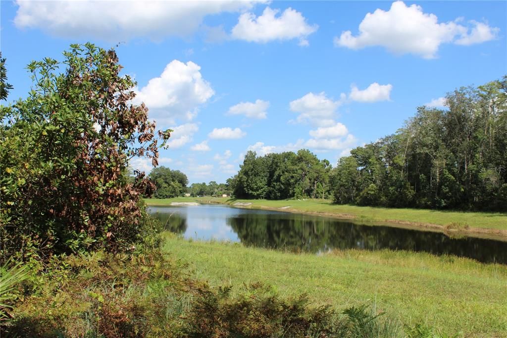 На продажу: $380,000 (1.78 acres)