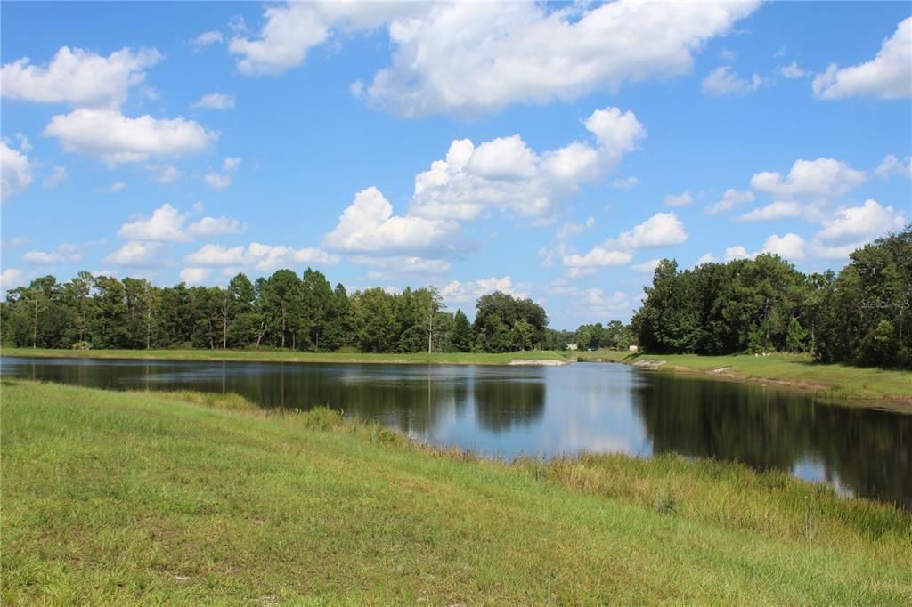 На продажу: $380,000 (1.78 acres)