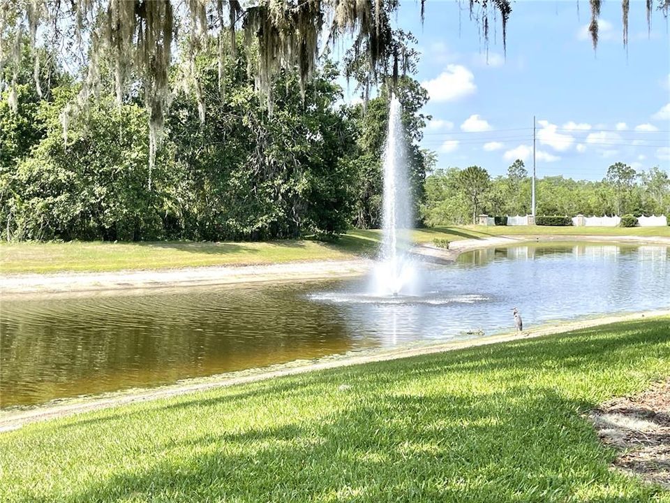 For Rent: $3,500 (4 beds, 3 baths, 3148 Square Feet)