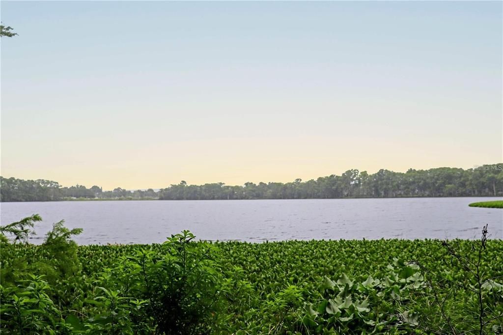 Active With Contract: $698,000 (9.62 acres)