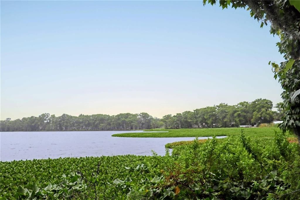 Active With Contract: $698,000 (9.62 acres)