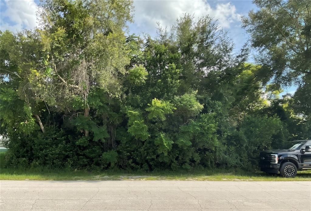 待售: $65,000 (0.23 acres)