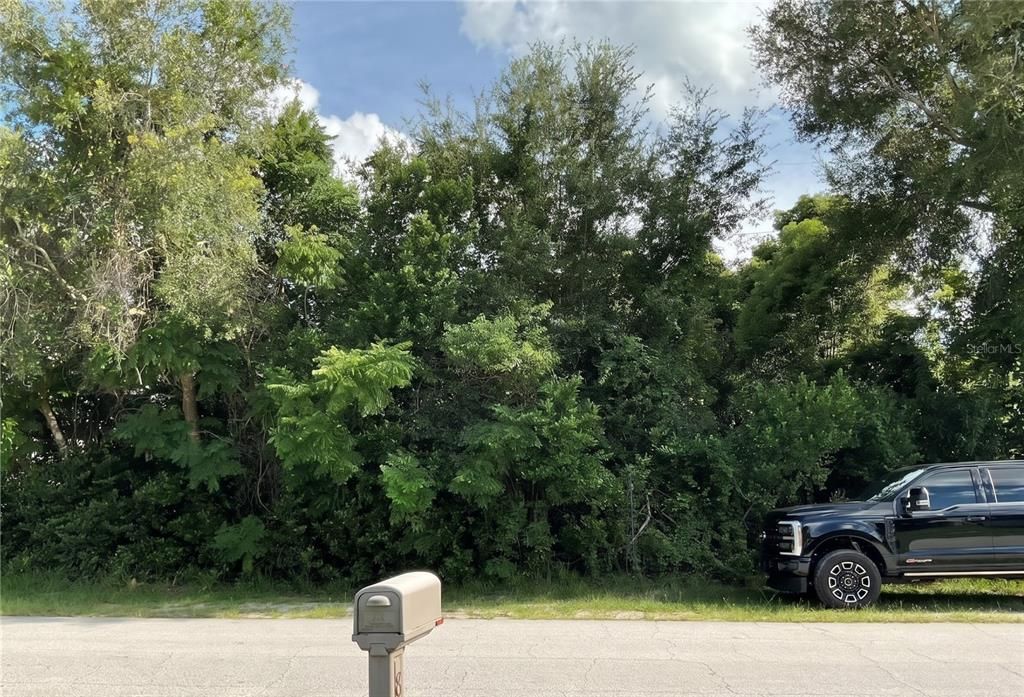 待售: $65,000 (0.23 acres)