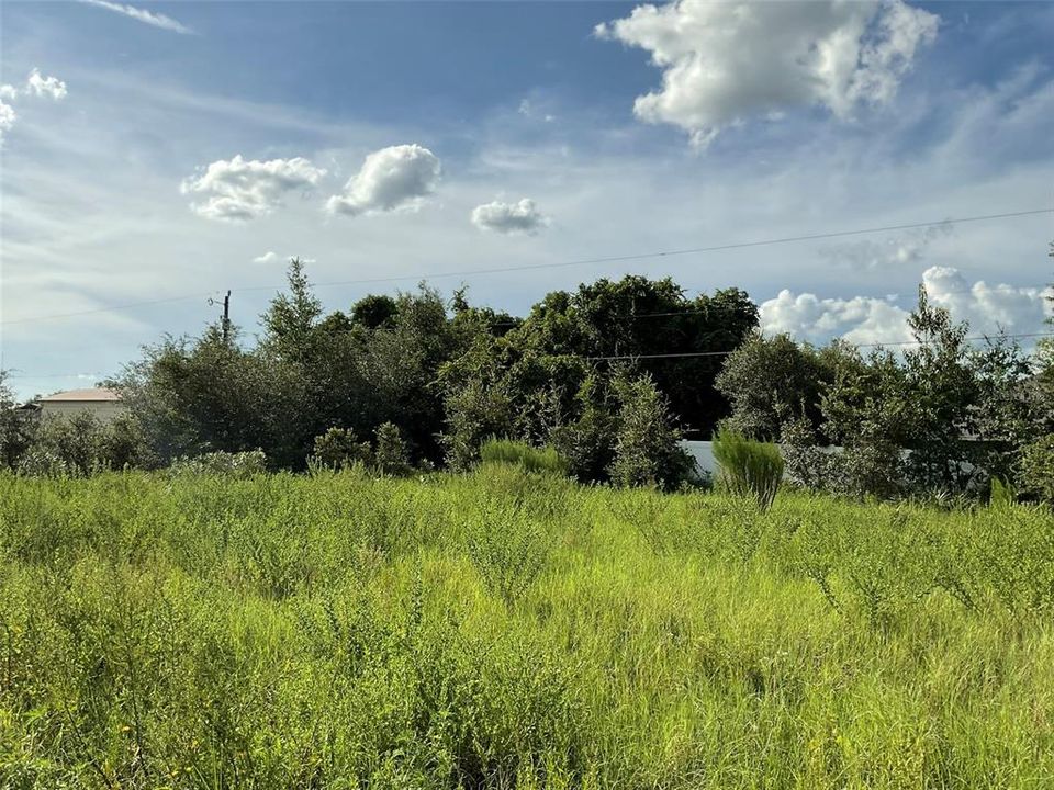 待售: $65,000 (0.23 acres)
