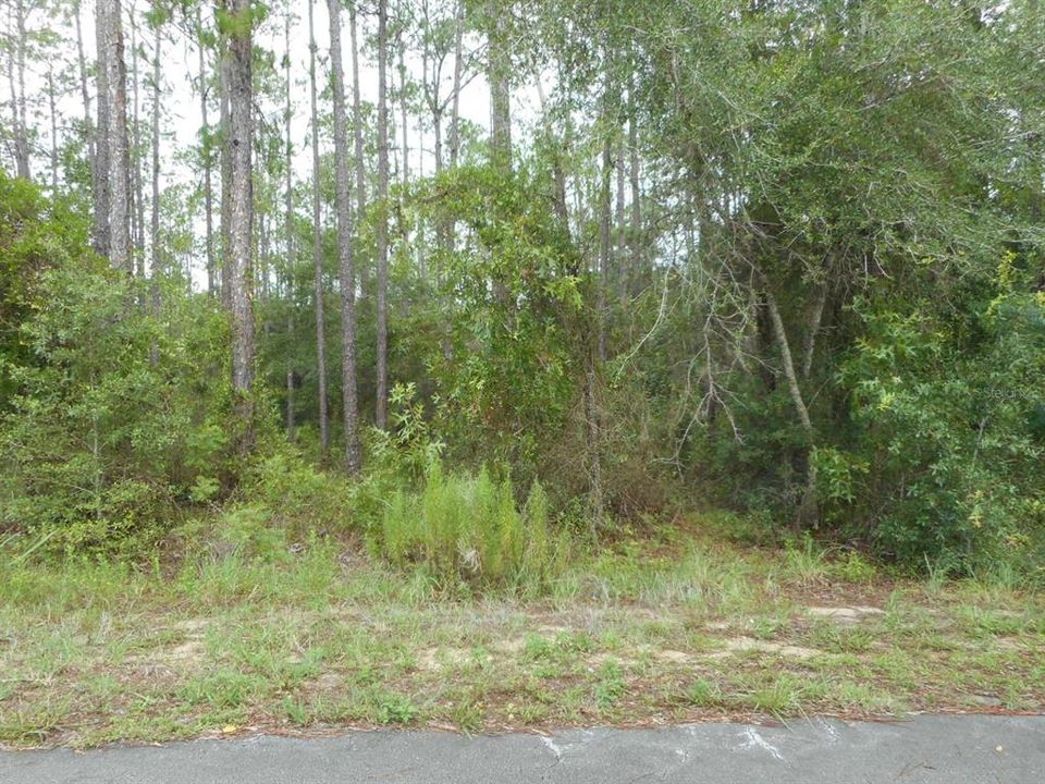 待售: $12,000 (0.24 acres)