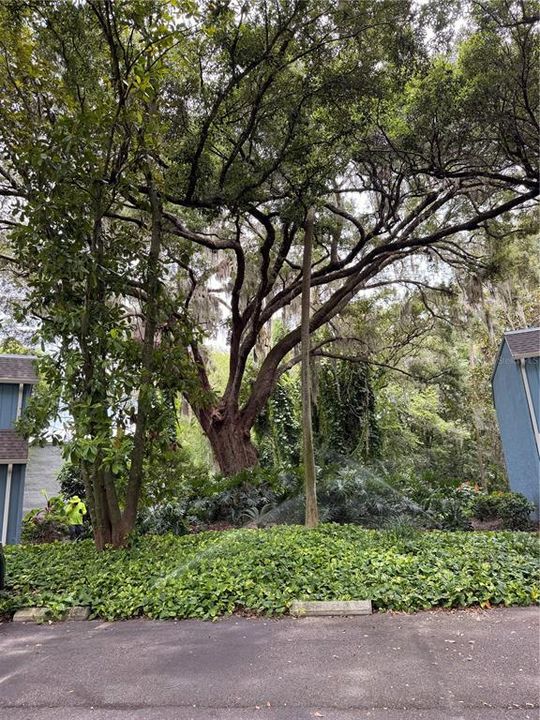 For Rent: $1,750 (3 beds, 2 baths, 1187 Square Feet)