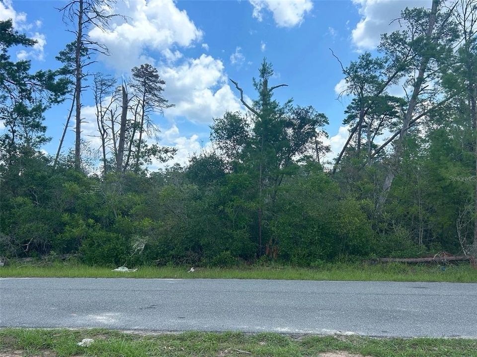 合同活跃: $29,900 (0.50 acres)