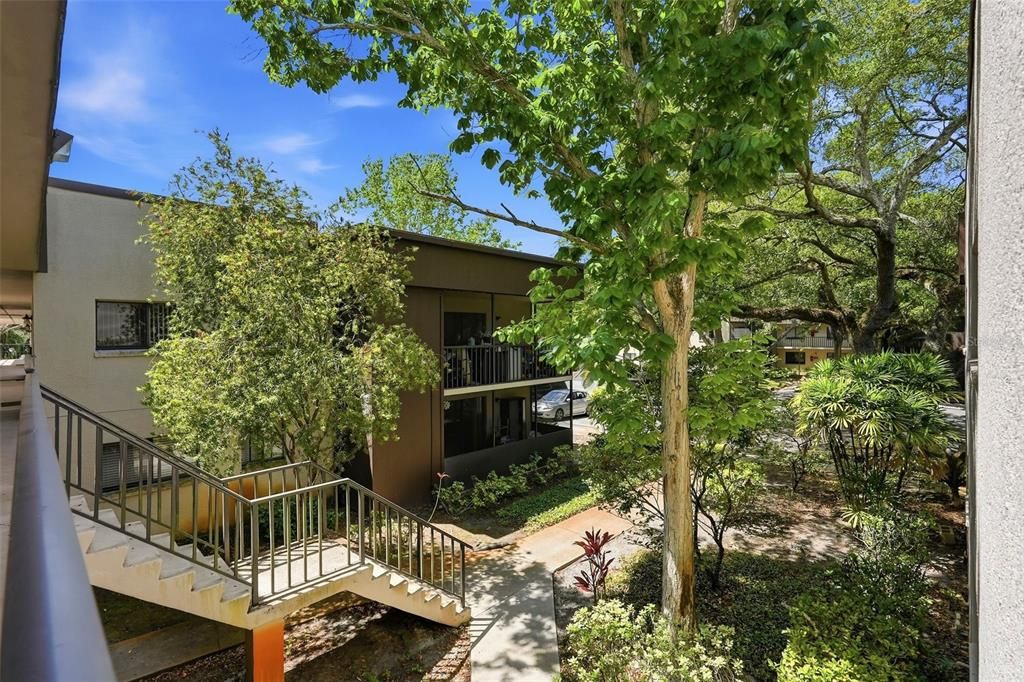 For Rent: $1,400 (2 beds, 1 baths, 800 Square Feet)