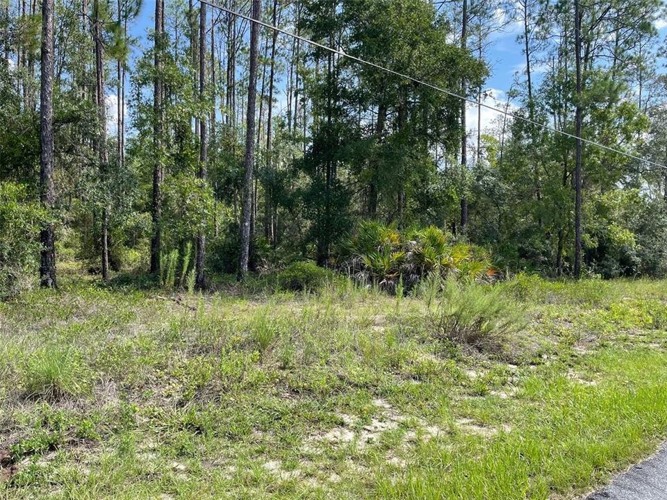 На продажу: $13,500 (0.24 acres)