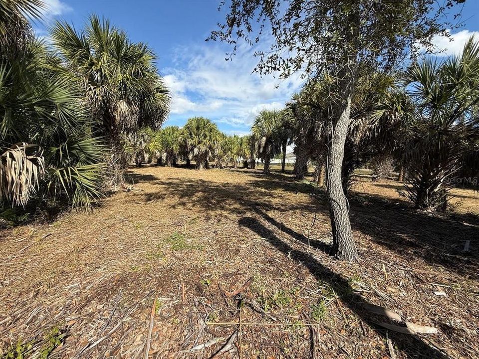 For Sale: $225,000 (0.67 acres)