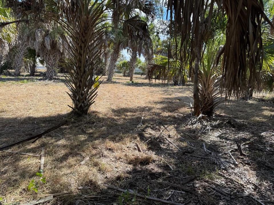 For Sale: $225,000 (0.67 acres)