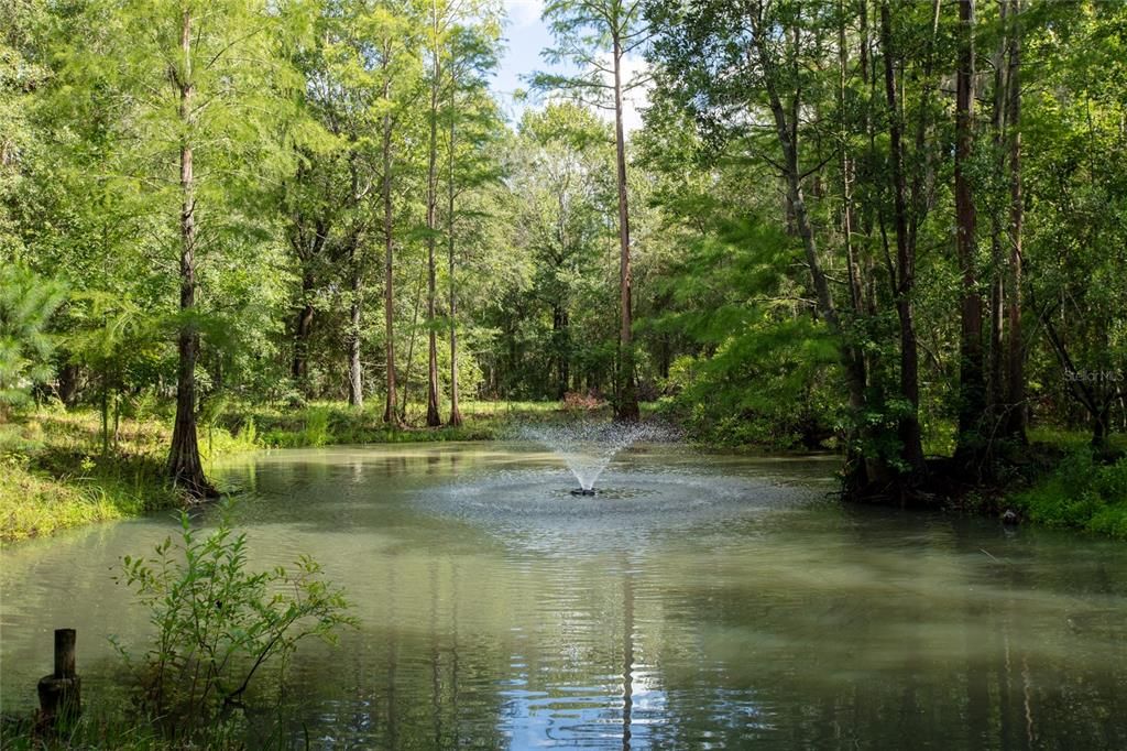 待售: $699,000 (3 贝兹, 2 浴室, 2215 平方英尺)