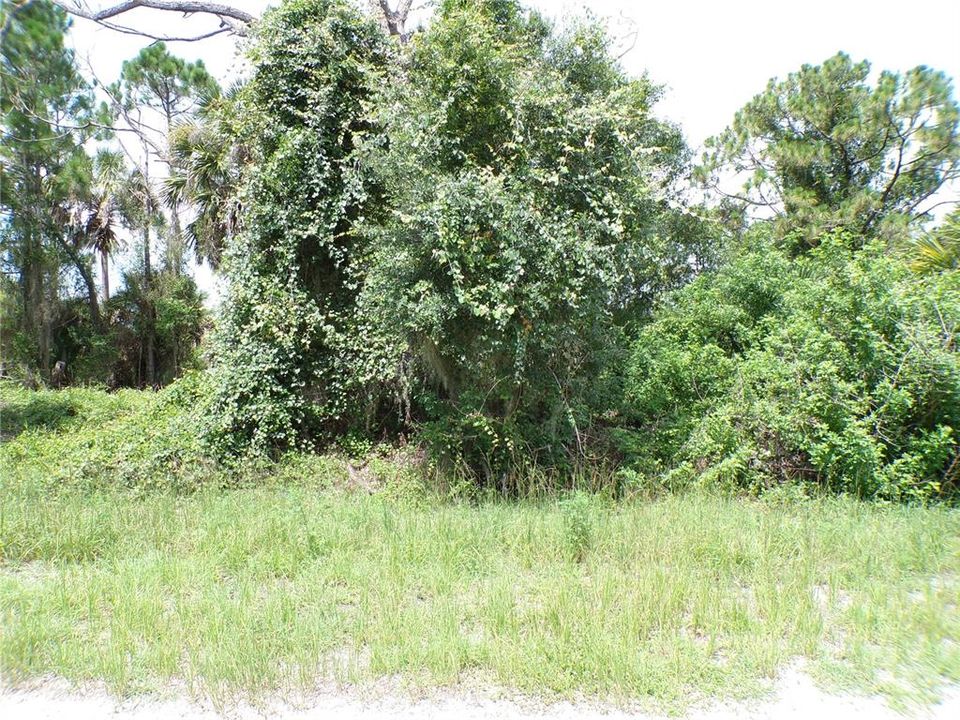 For Sale: $9,990 (0.23 acres)